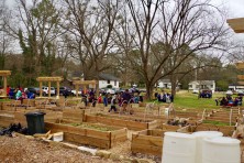 Atlanta Food Forest 2