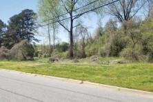 Bailey Drive Greenspace Before