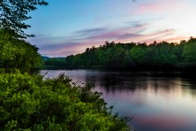 Chadbourne Forest ME  c  EcoPhotography 202006246  30  800x600