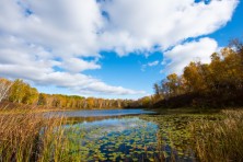 Minnesota s Heritage Forest 23  c Jay Brittain gallery 1