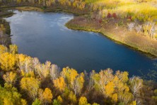 Minnesota s Heritage Forest 23  c Jay Brittain gallery 2