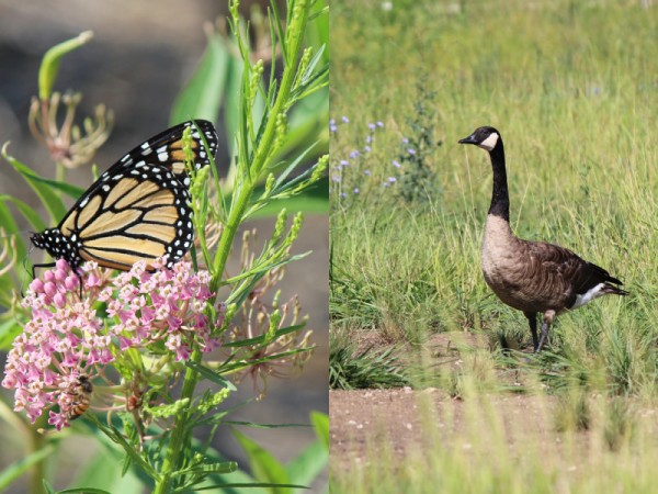 Parks with Purpose in Kansas City 4 Parks with Purpose in Kansas City 4