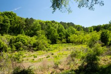 Protecting One of Atlantas Largest Mature Forests5