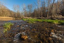 Strawbridge Credit Jerry Monkman071 800x600