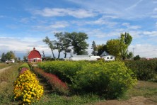 colorado   s historic splendid valley