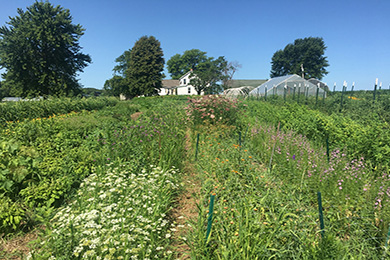 Illinois Working Lands, Water, and Wildlife Conservation Partnership