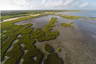 Aerial photo of fringe marshes along Powderhorn Lake, 2014. Photo by Earl Nottingham, Texas Parks Wildlife.