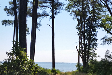 Shannon Farm’s 3,400 ft. of Chesapeake Bay shorefront will provide much needed public access to the Captain John Smith Chesapeake National Historic Trail as well as protect the scenic view. Photo by Bill Crouch, The Conservation Fund. 