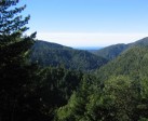U-Haul Customers Contribute To Planting Two Million Trees Through The Conservation Fund’s Go Zero Program