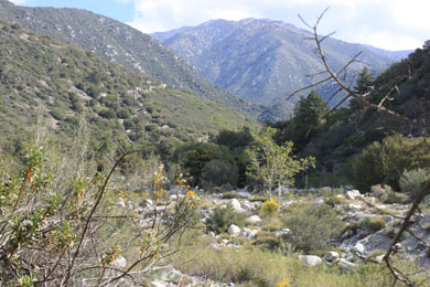 Photo courtesy the Watershed Conservation 