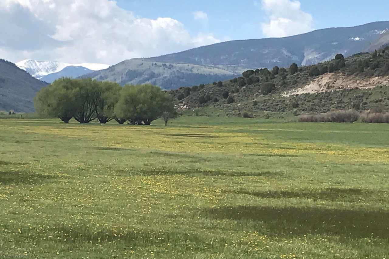 Hardscrabble Ranch. Photo by Toby Sprunk, Eagle County.