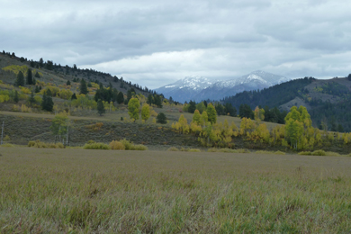Caribou-Targhee National Forest. Photo by Luke Lynch.