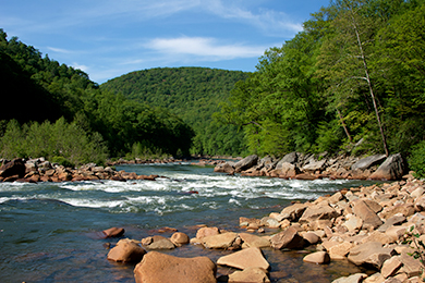The Cheat River and Canyon. Photo by Reggie Hall.