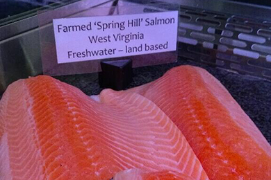 Freshwater Institute's salmon for sale.  Photo courtesy of @DCfishwife.