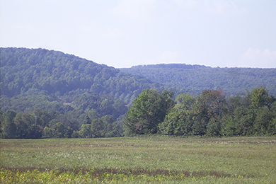 View of Eagle Rock property. 