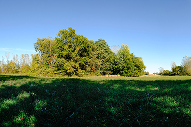 Property purchased by Porter County Chapter of the Izaak Walton League of America. Photo by Ivan LaBianca. 