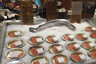 Spring Hill Salmon on display in Wegmans. Photo by Dagny Leonard
