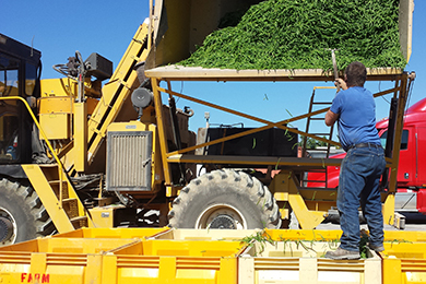 2014 grantee Farmshare. Courtesy photo.