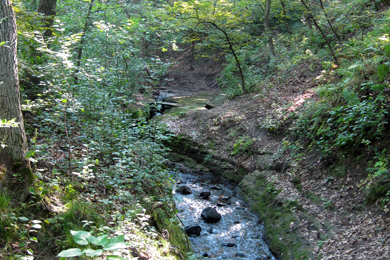 Fish Creek property. Photo by City of Maplewood.