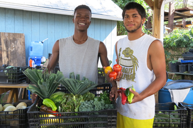 Photo courtesy of Gardening the Community, a 2016 recipient of the Transporting Healthy Food Grant.