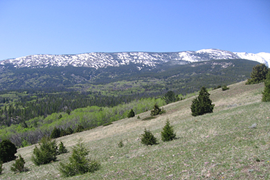 Garrity Mountain WMA. Photo by Mark Sommer. 