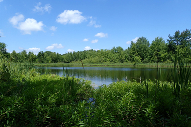 Photo courtesy of City of Ann Arbor Greenbelt Program.