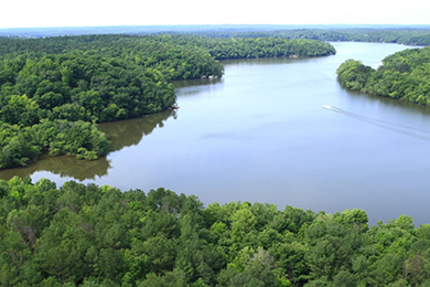 Lake Wateree and Liberty Hill property. Photo by Brian Gomsak 