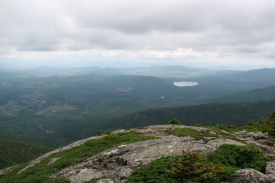 View of Success Pond Forest