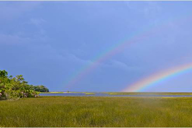 Shired Island after a storm. Photo by George Willson
