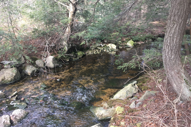 Mehoopany Creek