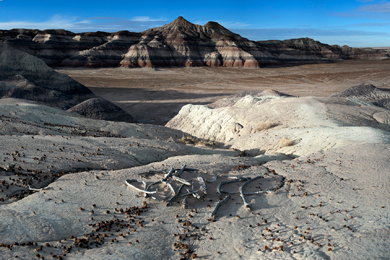 View from newly protected lands at Petrified Forest National Park. Photo by NPS.  