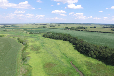 Photo by Andrew Martin, Delaware Wild Lands Field Ecologist