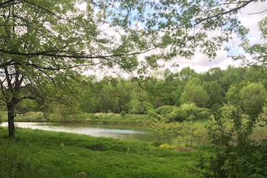 Pond on Spirit Lake property. Photo by Steve Henkel, Ozaukee Washington Land Trust.