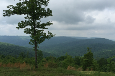 View of RLF Winchester Property. Photo by John Hetzler.