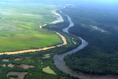 Upper Ouachita NWR. Photo courtesy U.S. Fish & Wildlife Service.