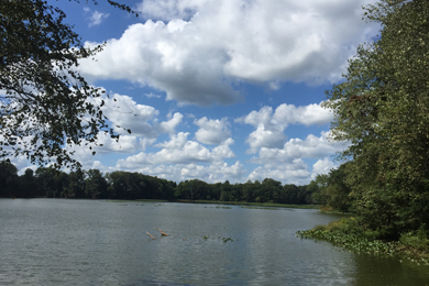 Gouldman Pond