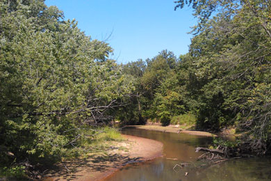 Yellow River in Wisconsin. Photo by Tom Duffus, The Conservation Fund.