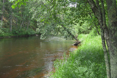 The Totogatic River was designated a "Wild River" by the State of Wisconsin in 2009. Photo by Bethany Olmstead/The Conservation Fund. 