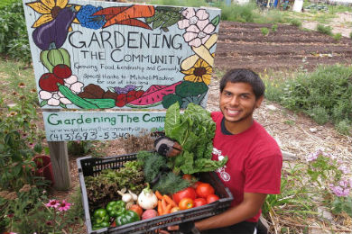 Courtesy Gardening the Community