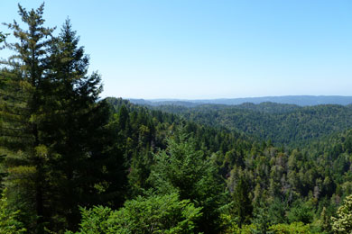 View from the Preservation Ranch property looking East. Photo by Chris Kelly/The Conservation Fund. 