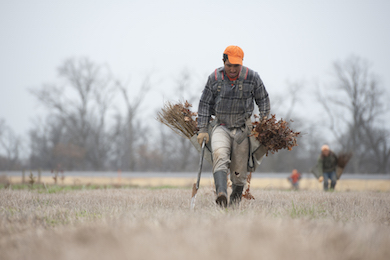 Go Zero tree planting at Red River National Wildlife Refuge. Photo by Sean Gardner.