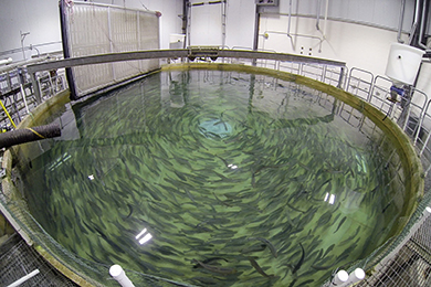 Freshwater Institute facilities in Shepherdstown, West Virginia. 