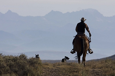 Greater Yellowstone Area