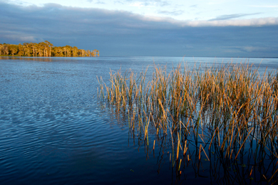 Gulf Coast Conservation Vision Plan