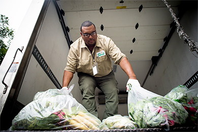 2015 Grant recipient City Harvest. Photo courtesy of Rob Bennett.