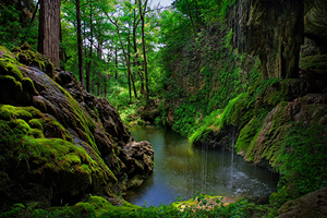 Westcave Preserve, Texas