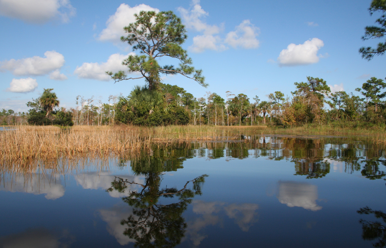 Strategic Conservation for the Loxahatchee River Watershed