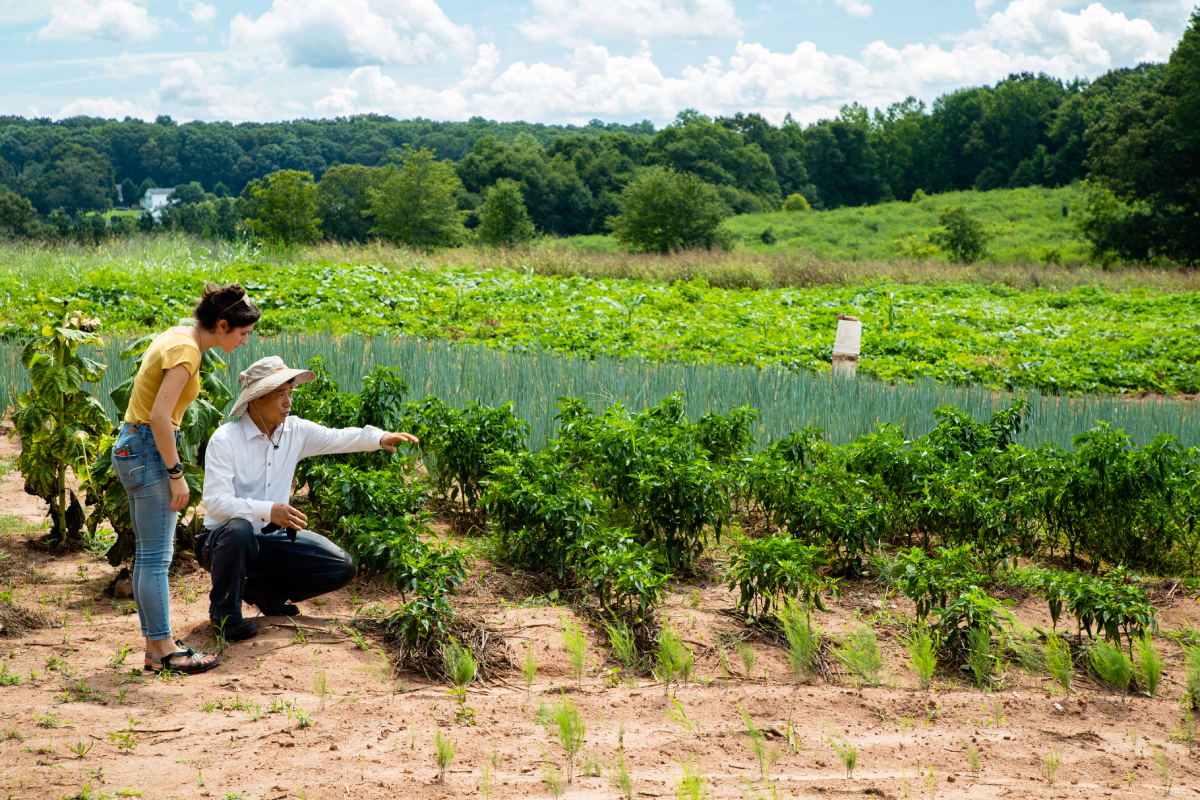 Taking Action for America’s Local Food   