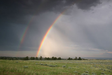 Circle R Ranch