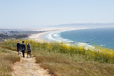 Making Nature More Accessible at the Pismo Preserve